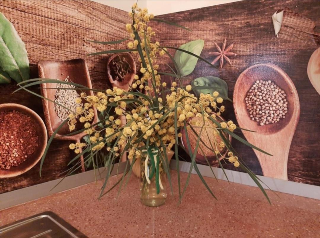 Comodo Apartamento Deltebre Esterno foto